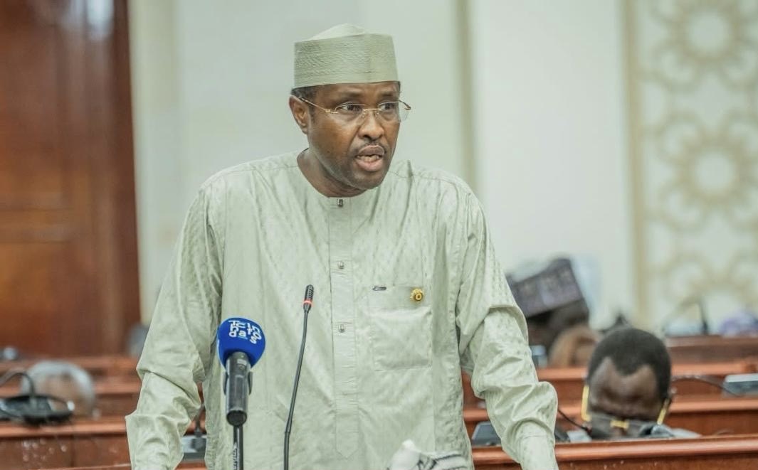 Transplantation rénale au Tchad : l’intervention de l’Honorable Député Mahamat Ahmat LAZINA à l’Assemblée nationale ce matin.